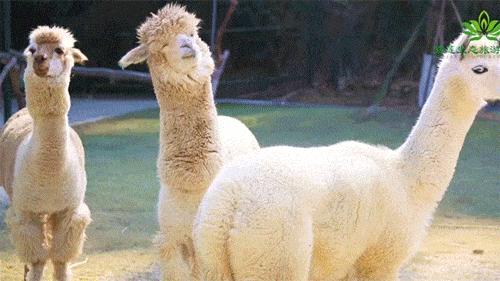 抓紧享受假期的尾巴,抓住假期小尾巴愉快的五一假期