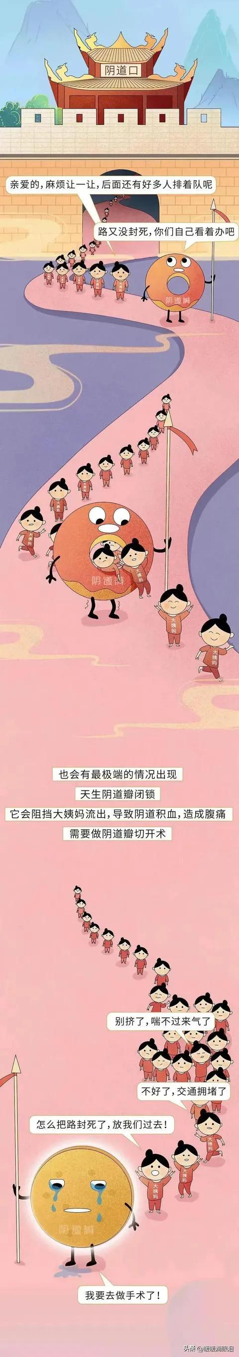 男女性知识科普,成人男性怎么了解性教育