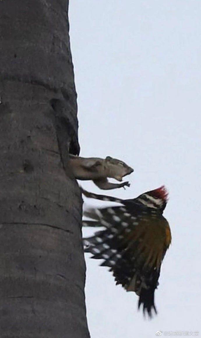 不用烦恼男孩子在想什么|冷段子2015