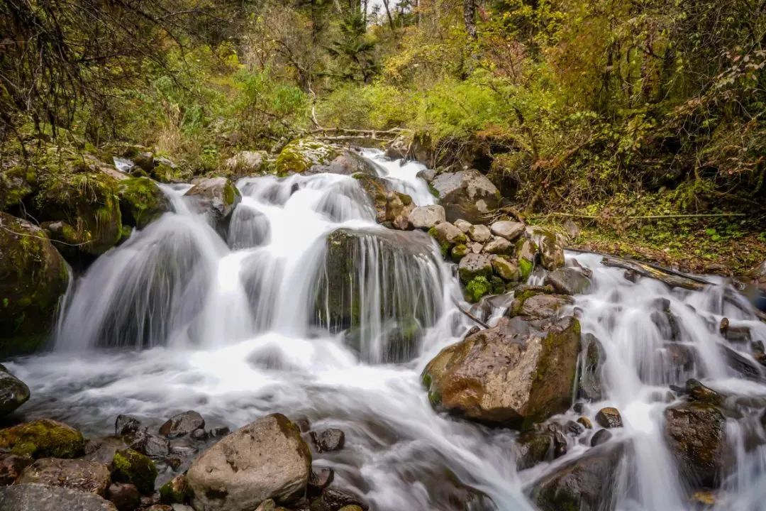 火出圈啦,甘孜文旅局长化身侠客火出圈
