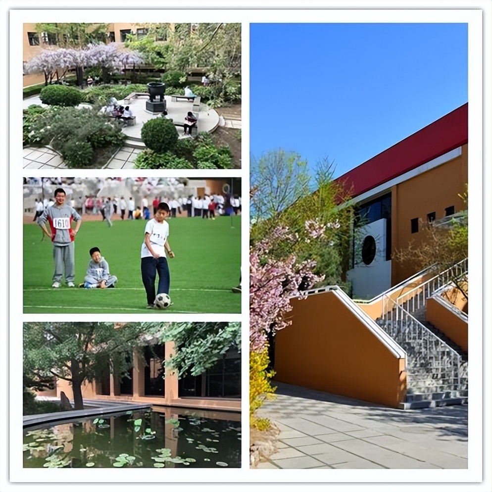 西城实验学校2024录取分数线,2022西城高中录取分数线排名