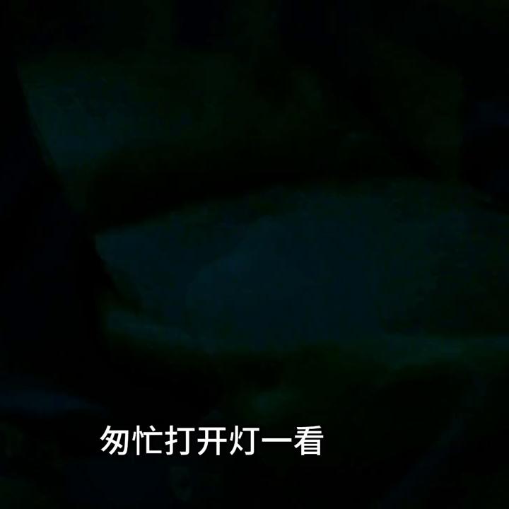 女人狠起来真的没有男人什么事...#我的观影报告