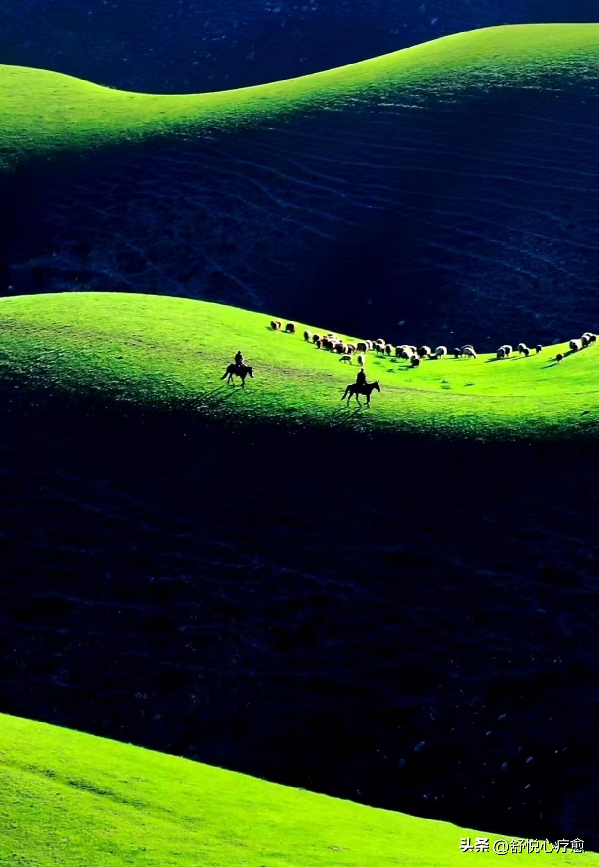 一颗心被伤害,心如果被伤了怎么办