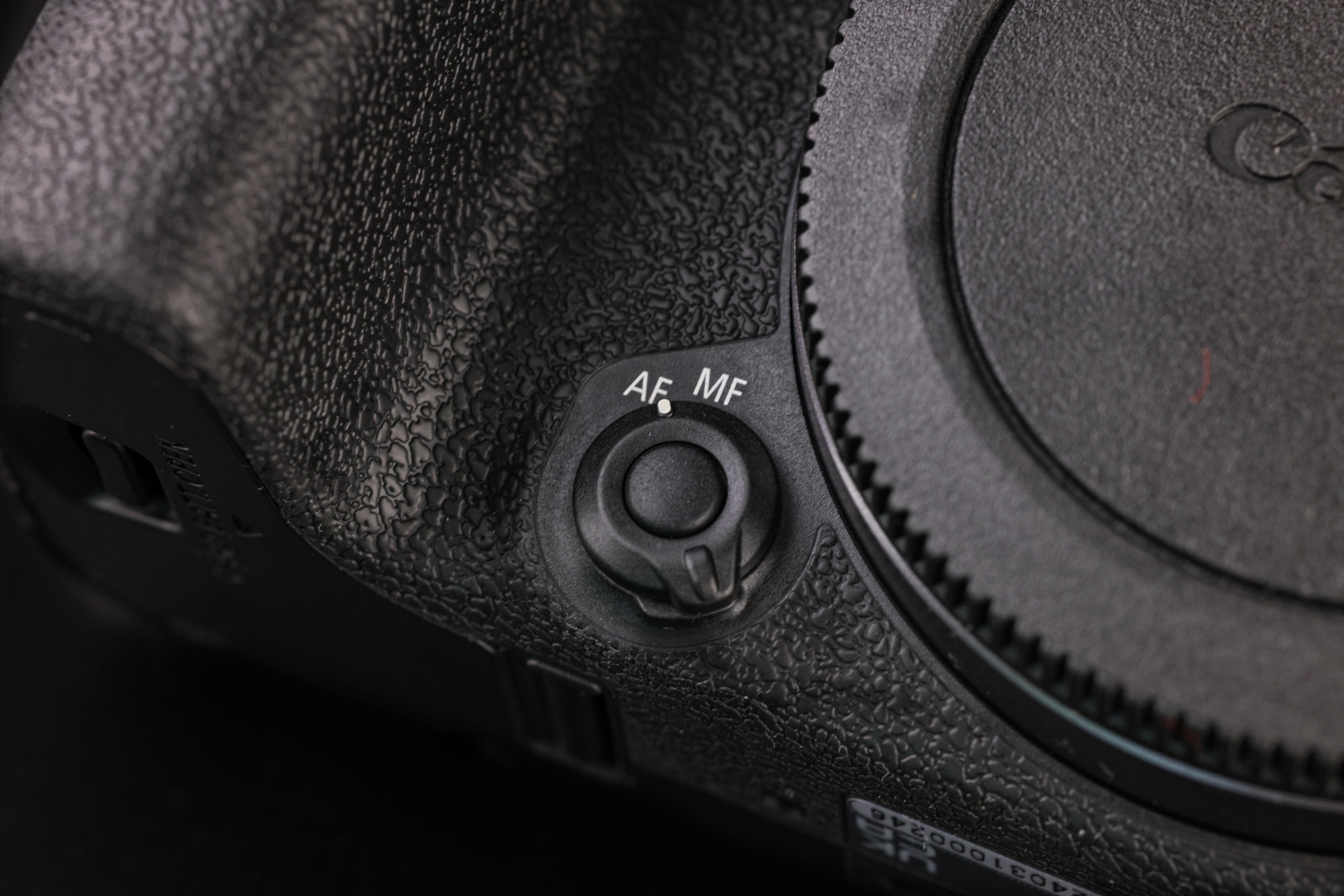 佳能eosr10实拍效果,佳能eosr10怎么样