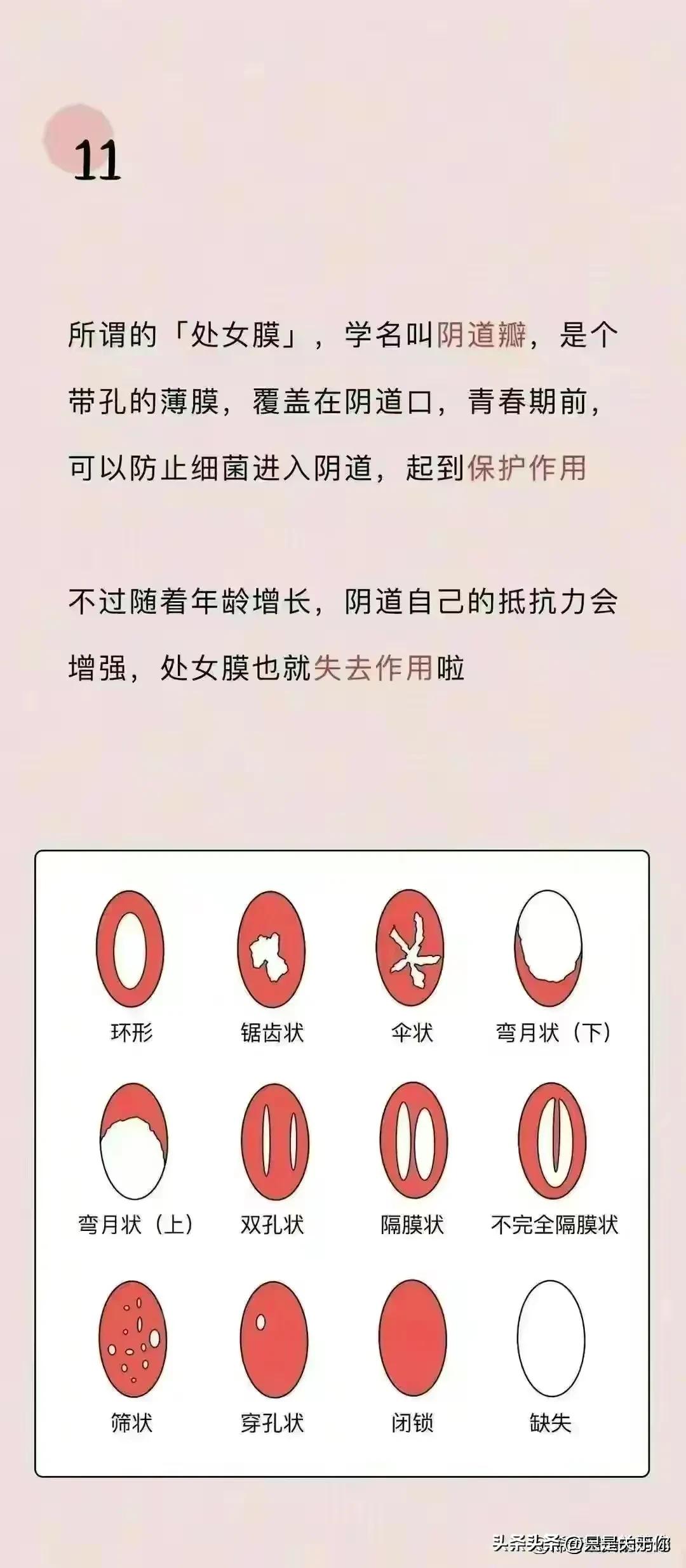 女性阴道生理科普知识点书,女性阴道生理科普书籍