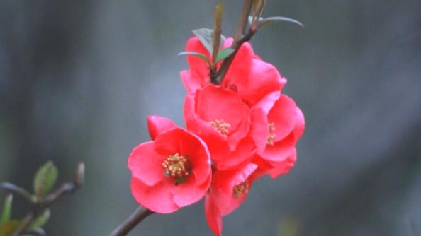 如何把陌生人变成精准人脉,怎样快速与陌生人拉近关系