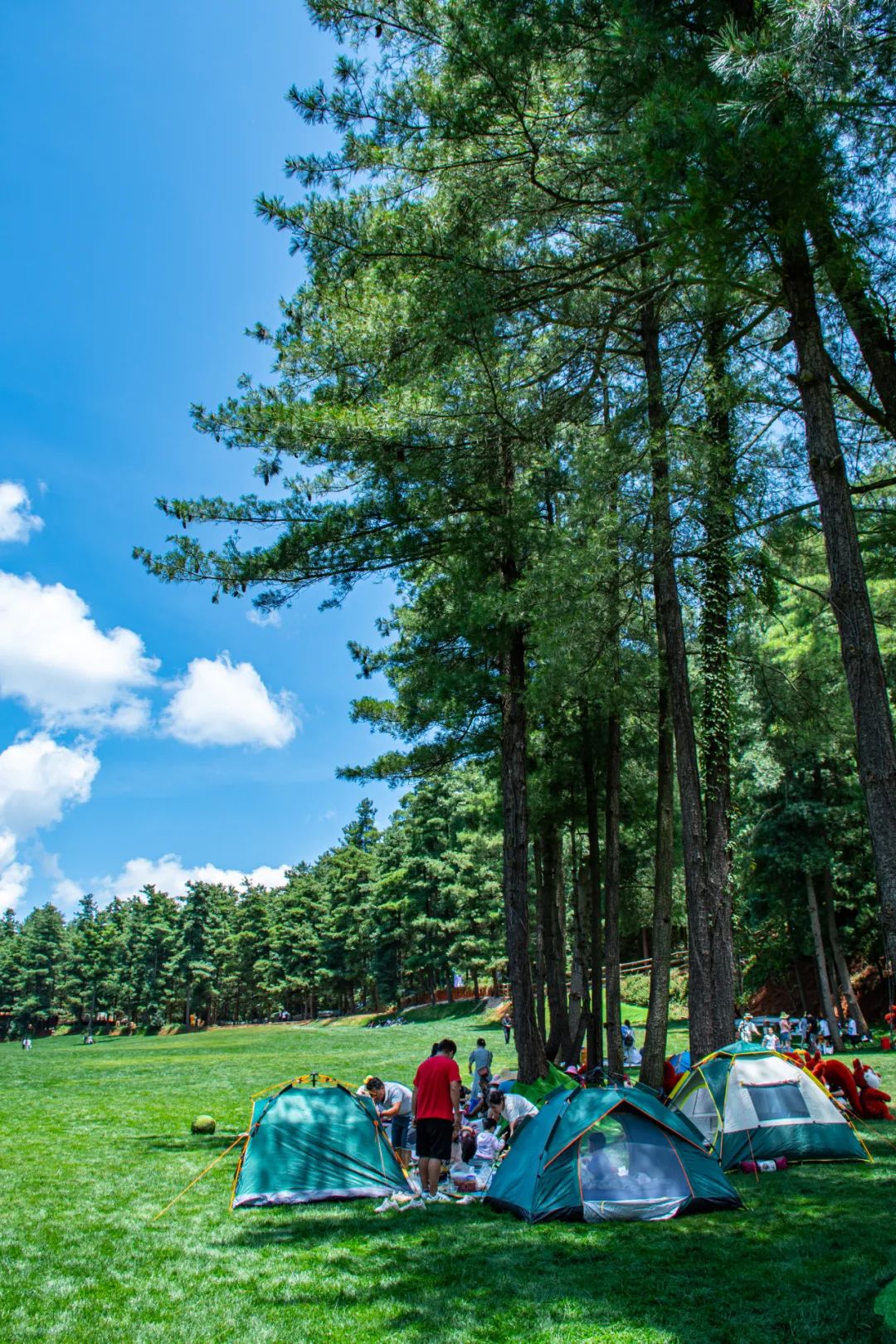 昆明五一露营建议去哪玩,昆明周边郊游露营