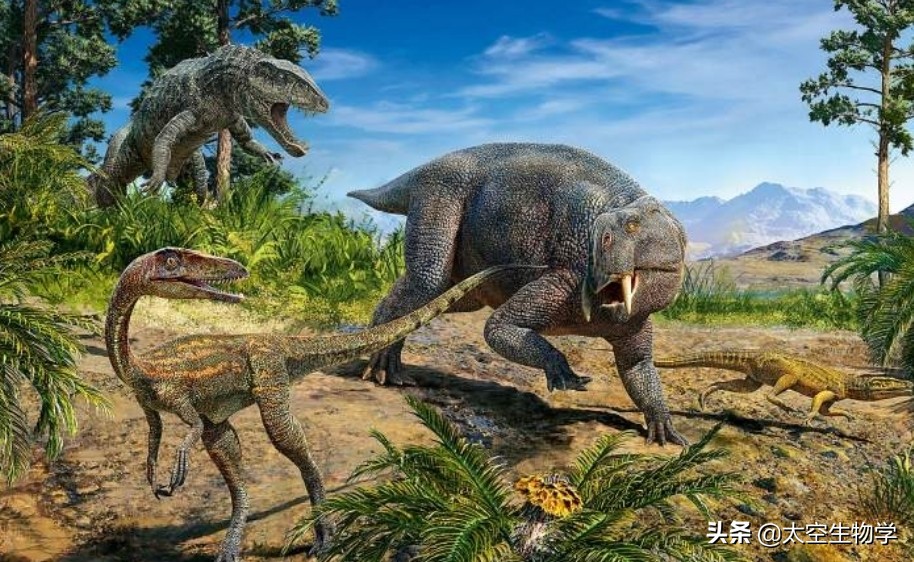 恐龙能适应现在的地球环境吗,恐龙在什么样的环境下才能有翼