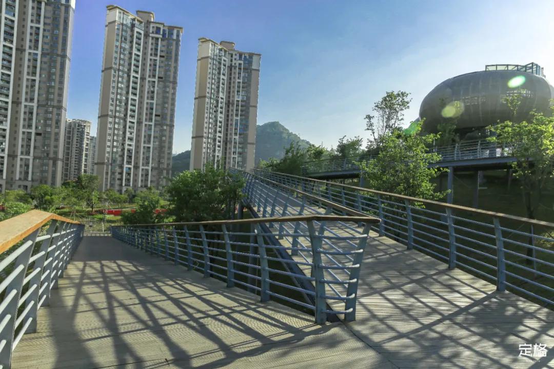 雨林打卡网红地滑梯,深圳哪里有超大型滑梯