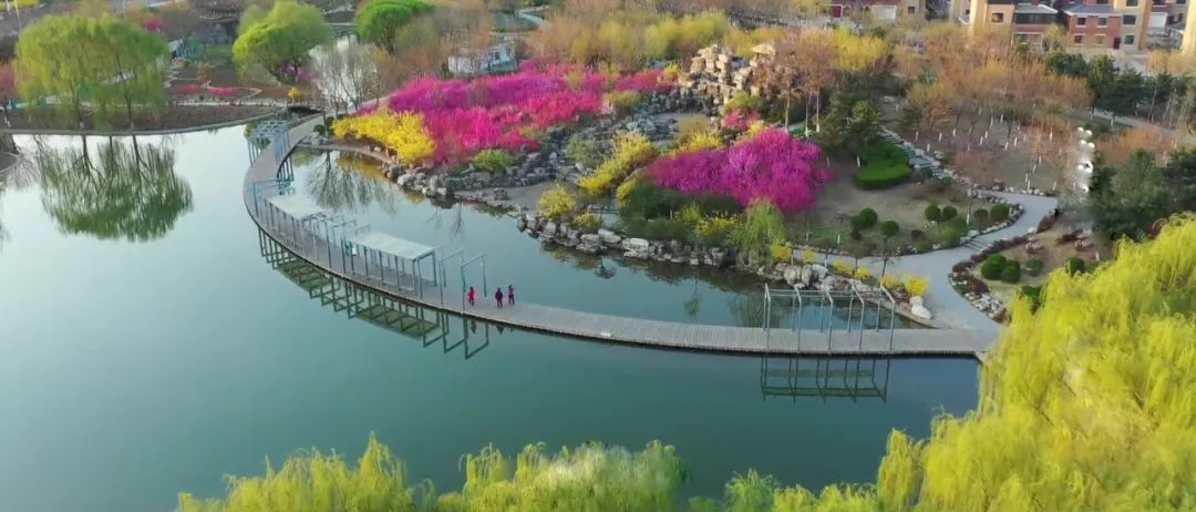 【LIAN上迁安】全国第八届“万步有约”健走激励大赛迁安赛区正式启动