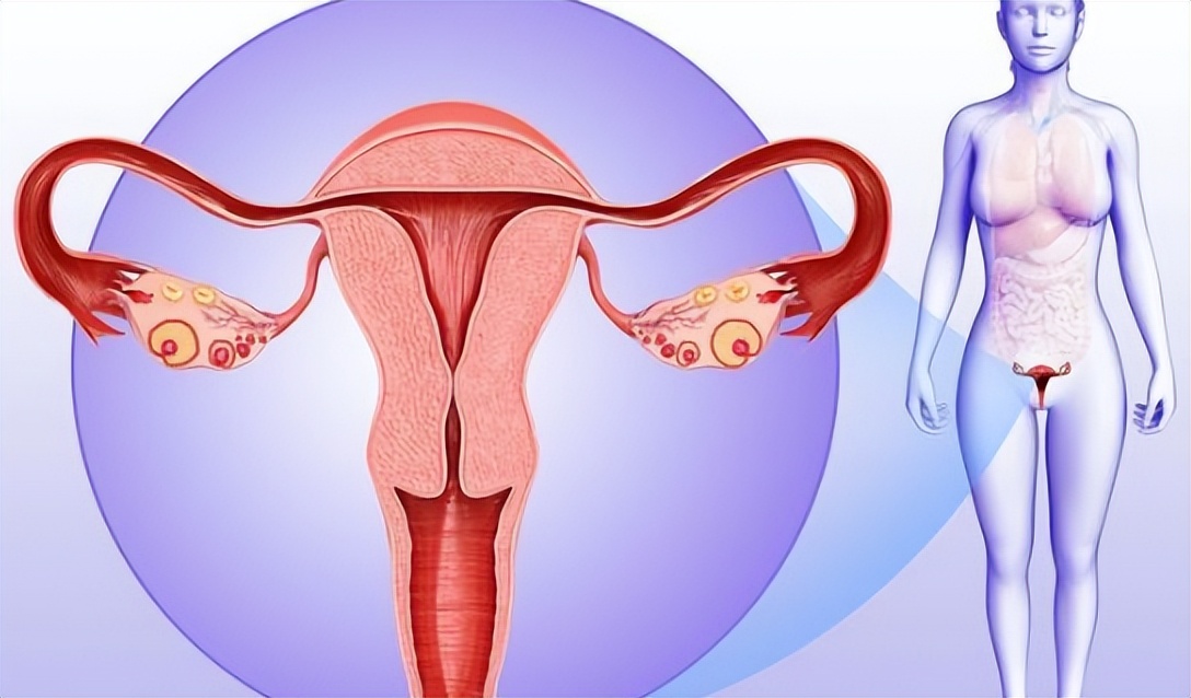 月经“堵”在阴道大半年，积了一瓶矿泉水那么多