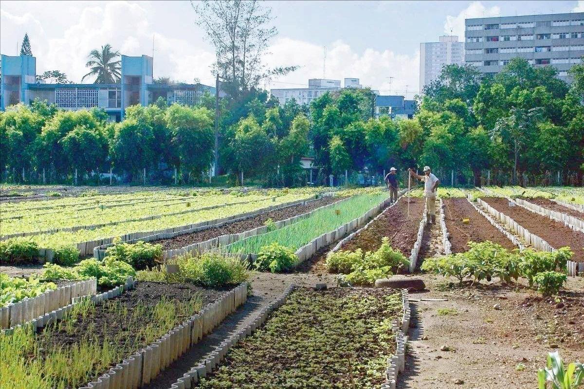 迷人古巴图片,迷人国度