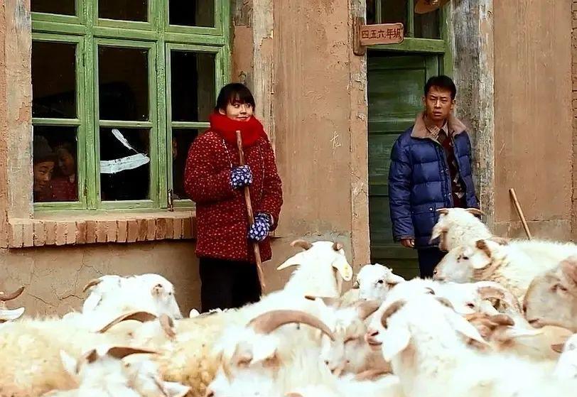 李立群温州一家人励志片段,温州一家人李立群初到温州