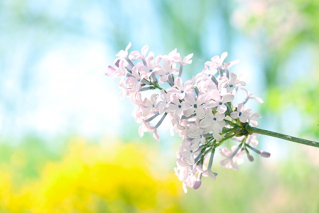 护肤必须知道的20个小常识
