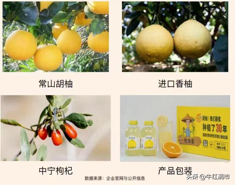 每天了解一家公司,每天了解一家茶企