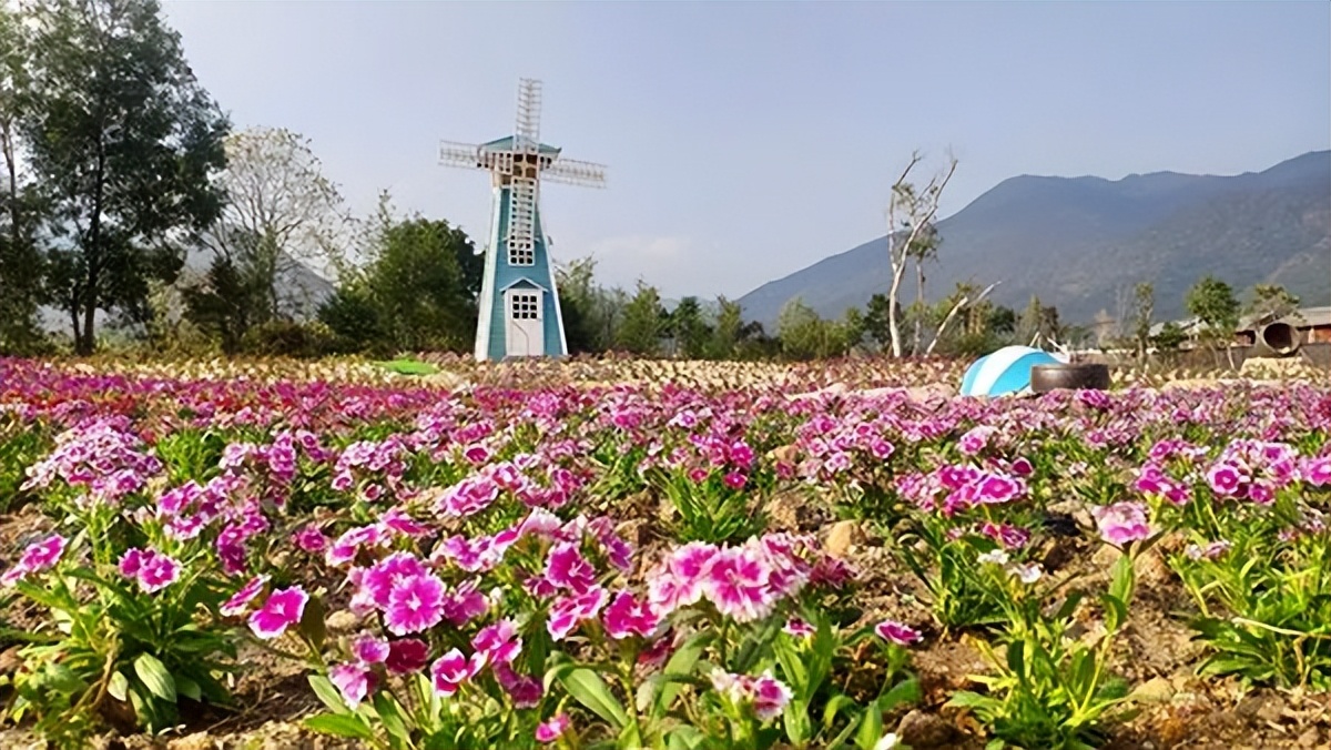 15个打卡景点8条旅游线路！最新五一深汕游攻略，官方推荐！