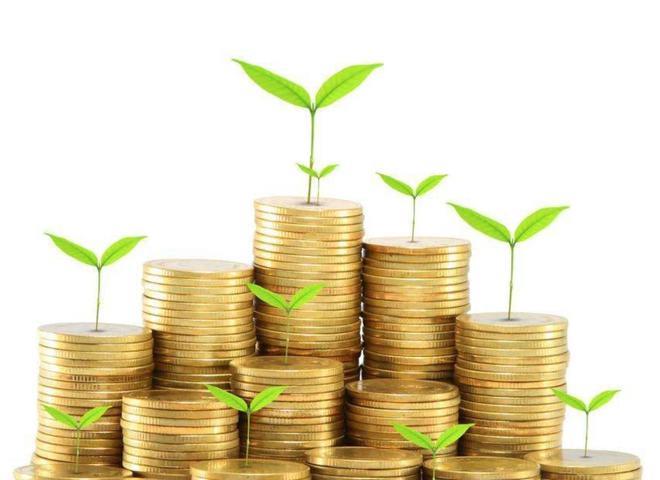 鍏徃鏈粰缂寸撼绀句繚濡備綍琛ユ晳,鍗曚綅缂寸撼绀句繚鏂氦鎬庝箞琛ユ晳