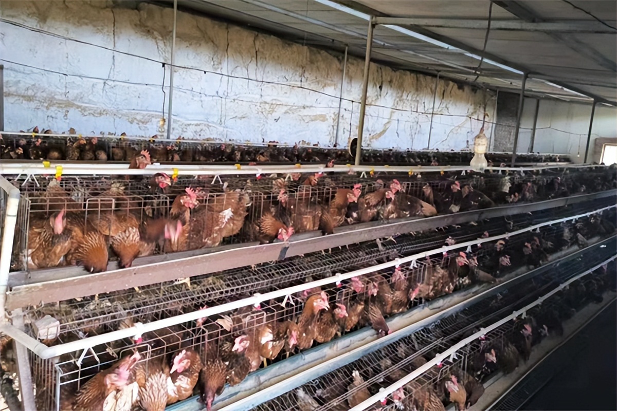 襄垣农商行贷款好贷吗,山西农商晋享贷