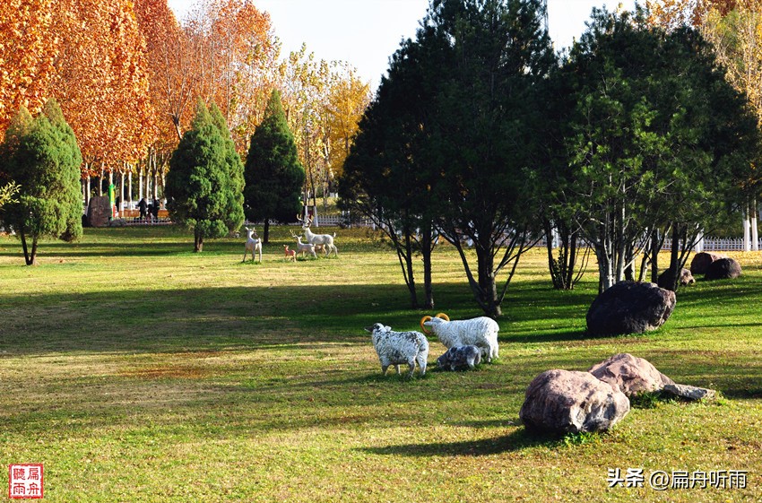 7月郑州凉快遛娃公园排行榜,郑州龙子湖避暑遛娃的地方