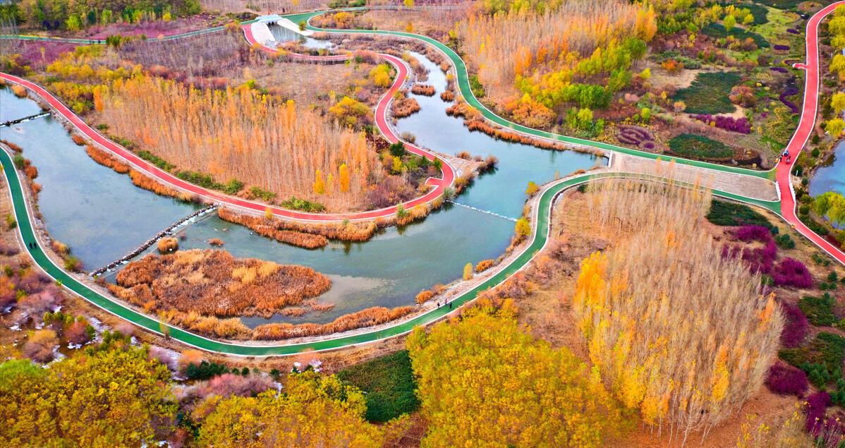 过年让爱回家,tcl公益过年让爱回家