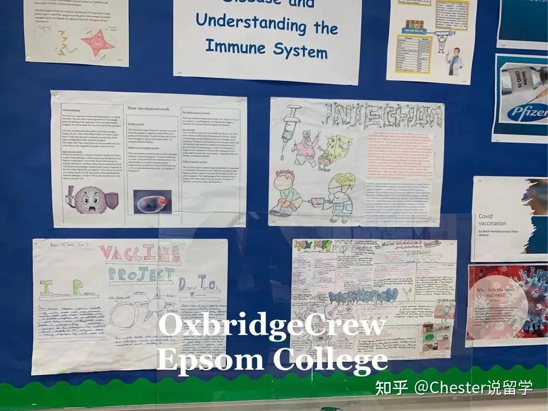 爱普森学院学费,英国爱普森学院怎么样