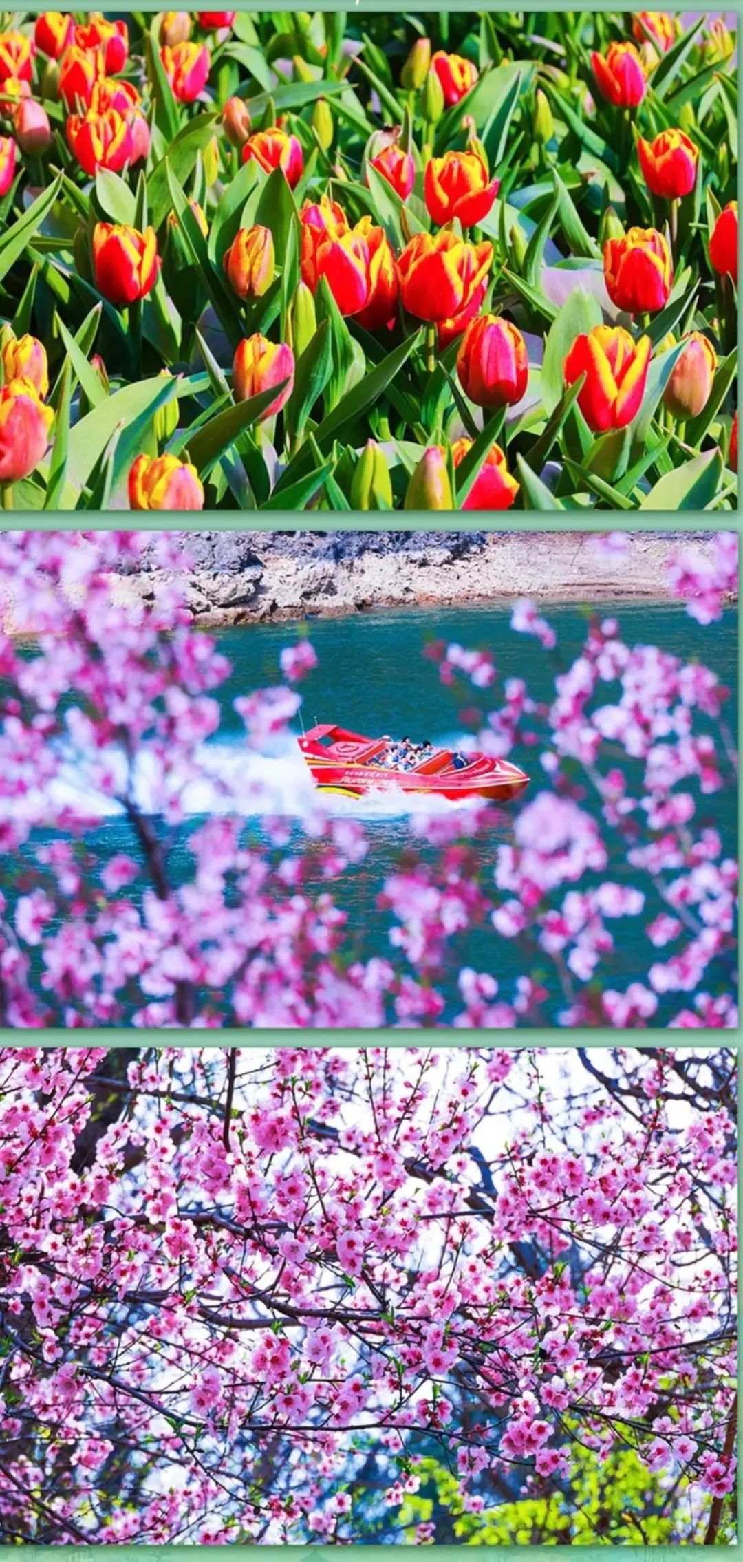 半价门票,景区免票半价