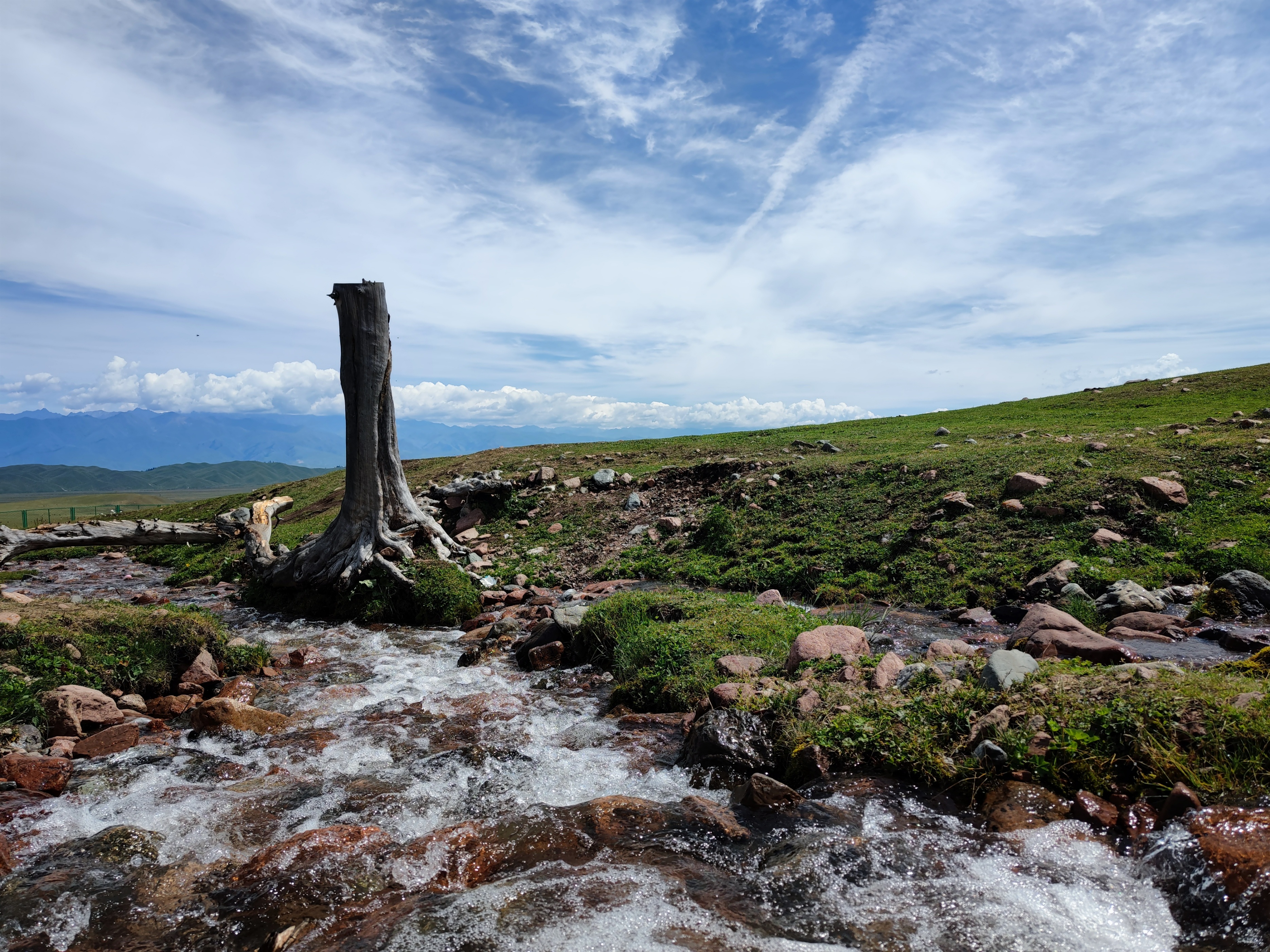 伊犁那拉提草原玩的有啥,伊犁那拉提草原是几级旅游景点