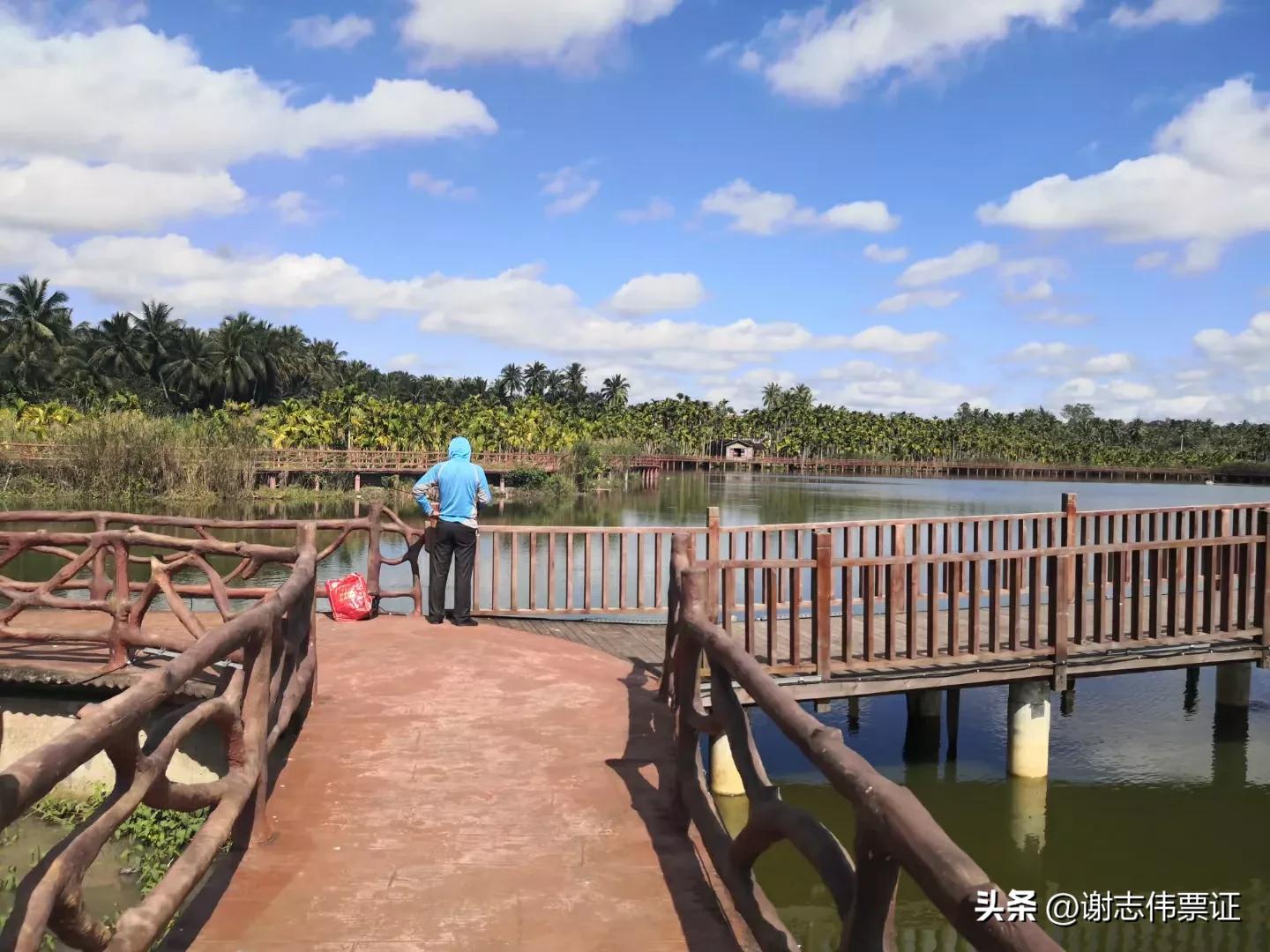 海南旅游起个时尚名字,带有海南特色的名字