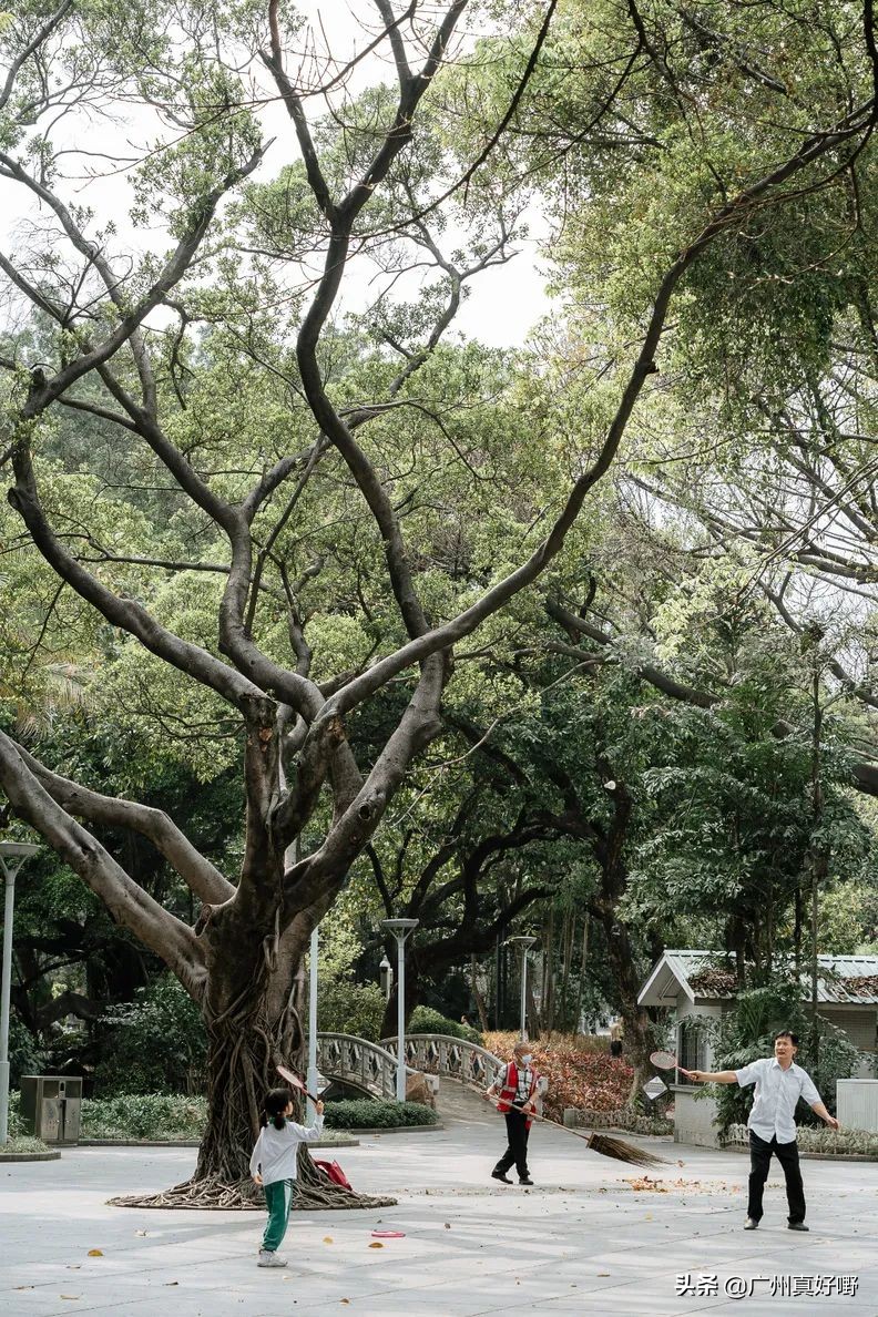 2019广州十大浪漫约会圣地,广州适合情侣去看海的地方