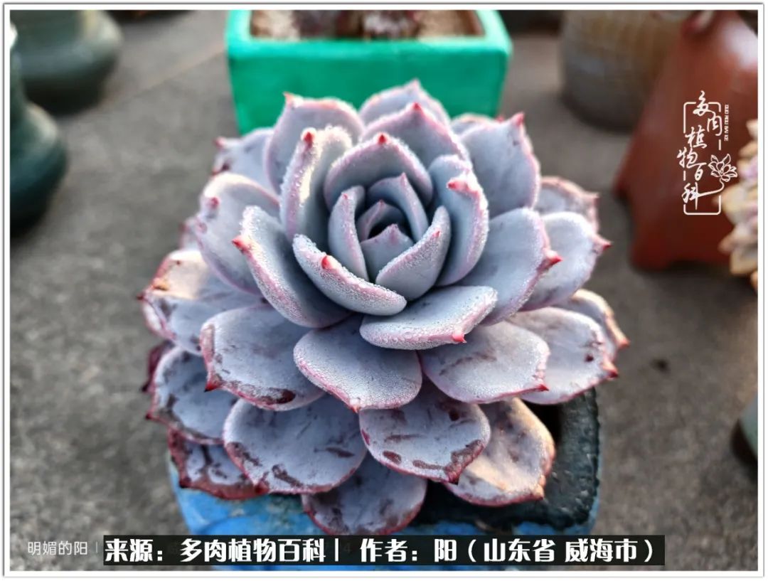 浜洪棿鐑熺伀鑷湁涓囧崈棰滆壊,浜洪棿鐑熺伀鐨嗘槸骞冲嚒棰滆壊