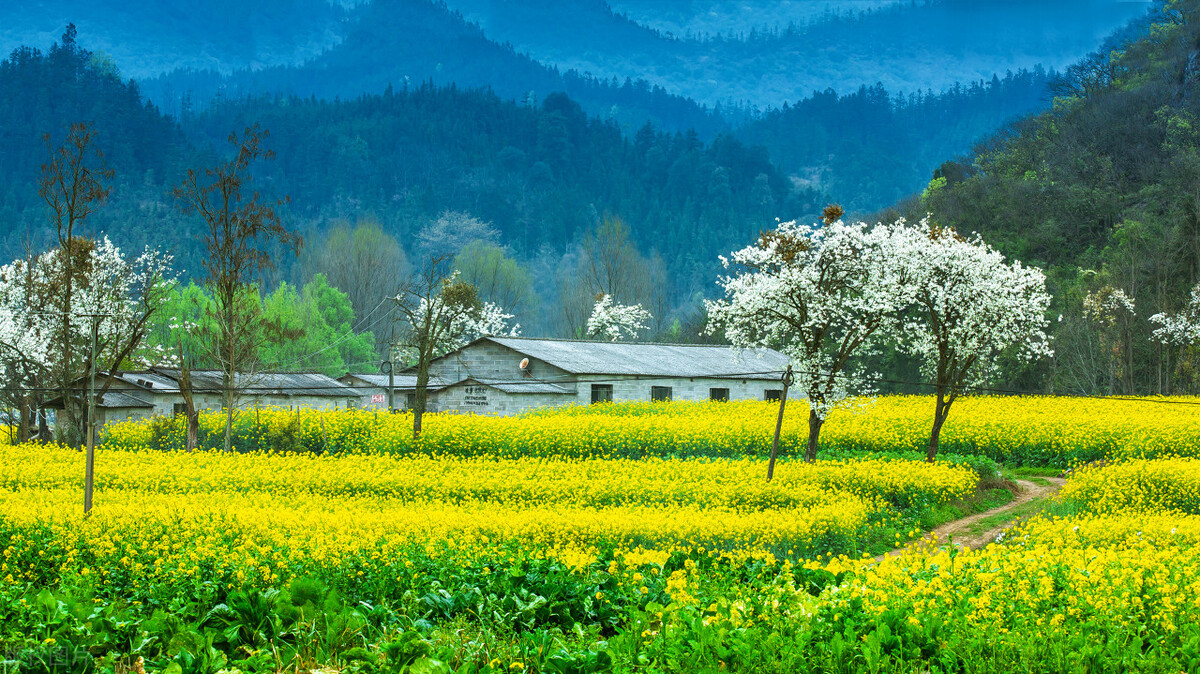 宋词里的春天是美到骨子里的春天,唐诗宋词里的春天朗诵稿4-6分钟