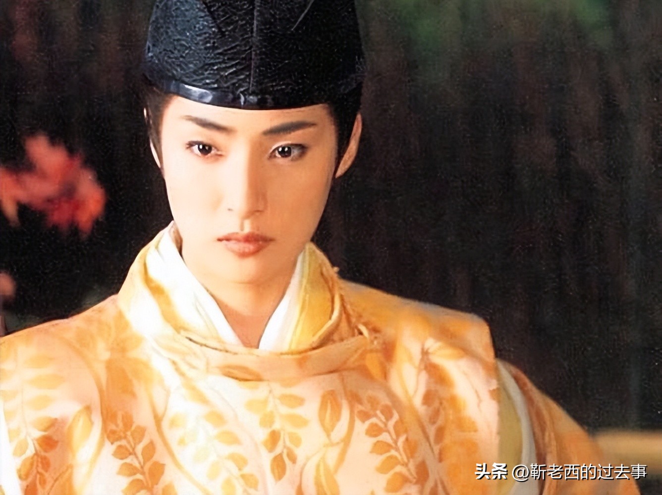 《源氏物语》女性悲剧研究著作,源氏物语书中的历史