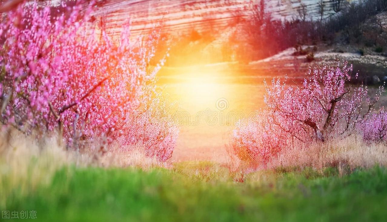 值得一看的全本小说,值得一看的小说免费