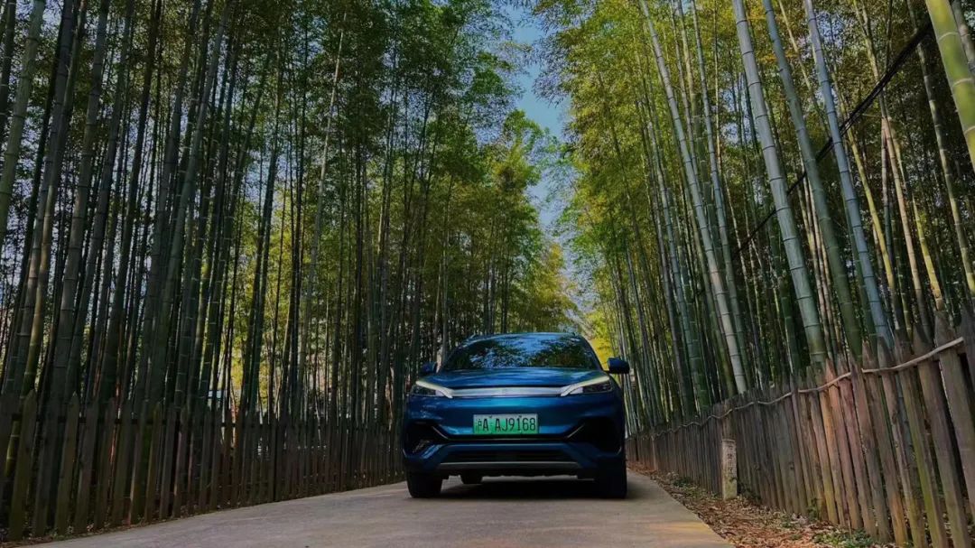 元PLUS续航挑战赛上海站赛出新成绩：百公里电费不到10元