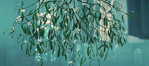 那些关于秋天的文艺句子合集,形容秋天天蓝的文艺句子