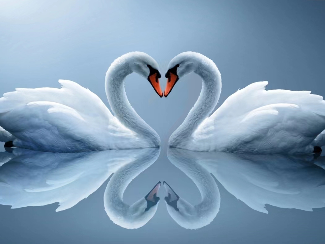 第3集当爱情照进现实她说：祝你幸福