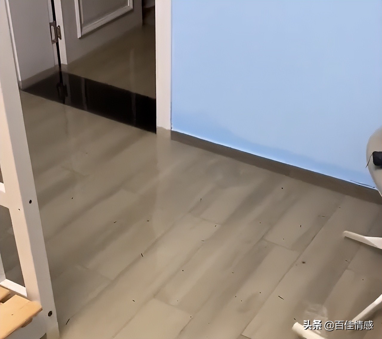 女子凌晨惊醒发现家被淹,女子一觉醒来发现家被淹了