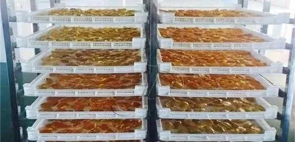 芒果干加工利润,返乡创业新农人卖芒果