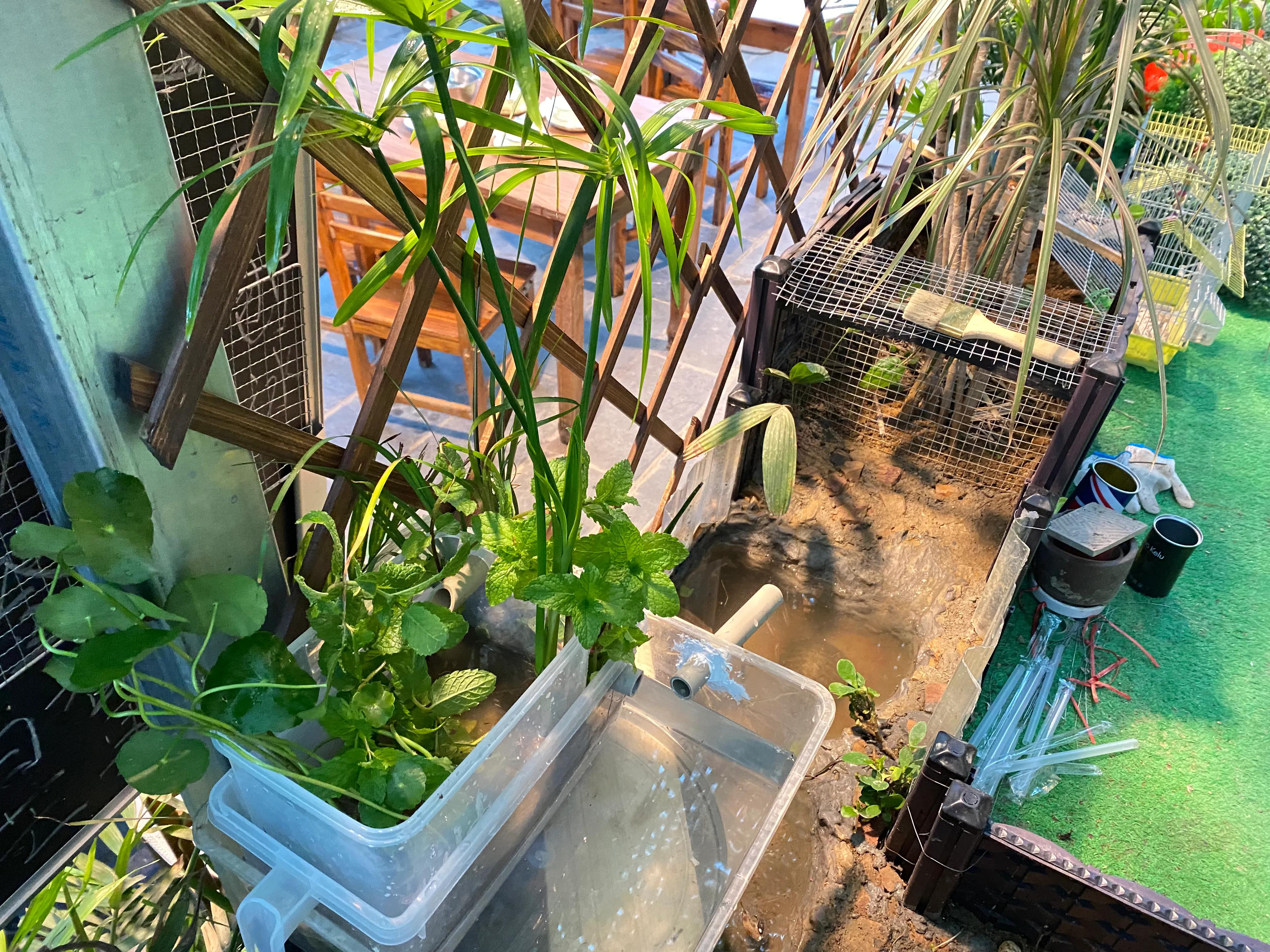 无过滤养龟怎么保持水质清洁,深水养龟用什么过滤效果最好