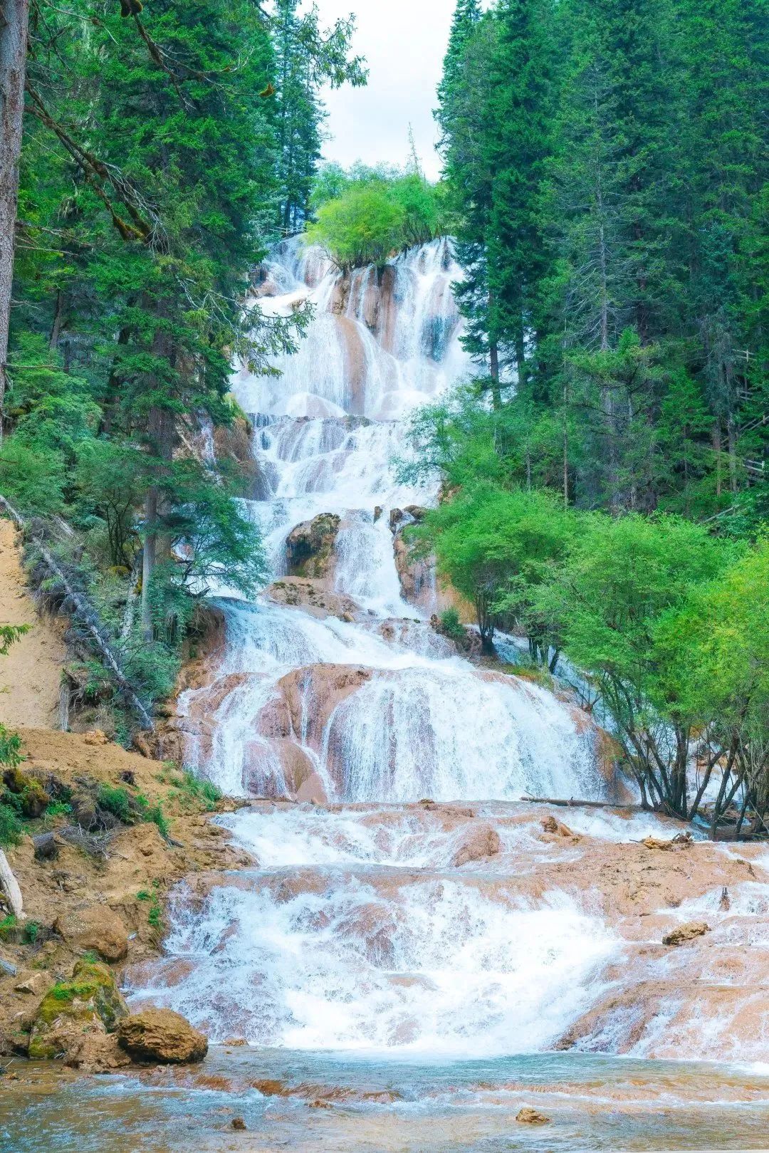 黄龙七天六晚旅游攻略推荐,暑假四川黄龙一线旅游攻略