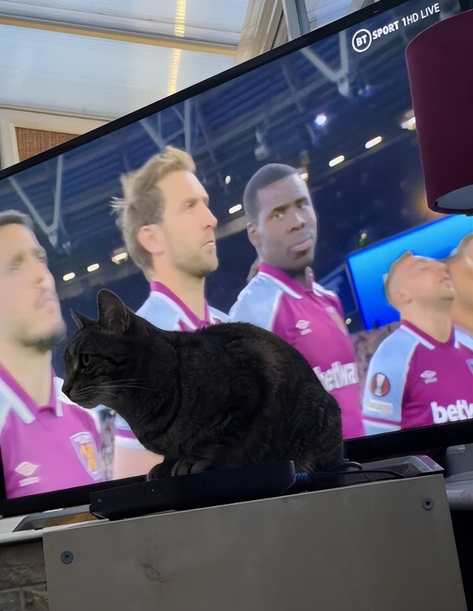 最混乱的足球赛法国,2018年的法国足球队有多恐怖