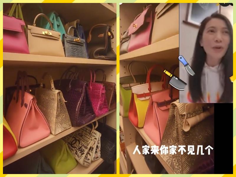 向太评价袁咏仪,向太给袁咏仪爱马仕