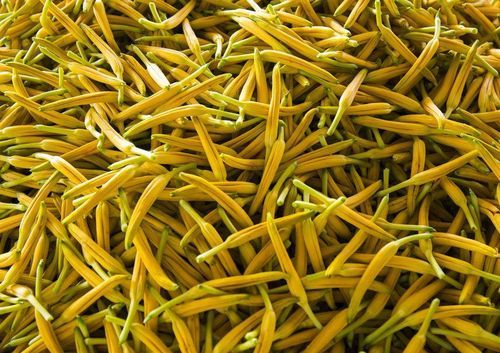 榛勮姳鑿滆嚜鍔ㄥ彉鑹茬儤骞叉満,榛勮姳鑿滃ぇ鍨嬬綉甯︾儤骞叉満