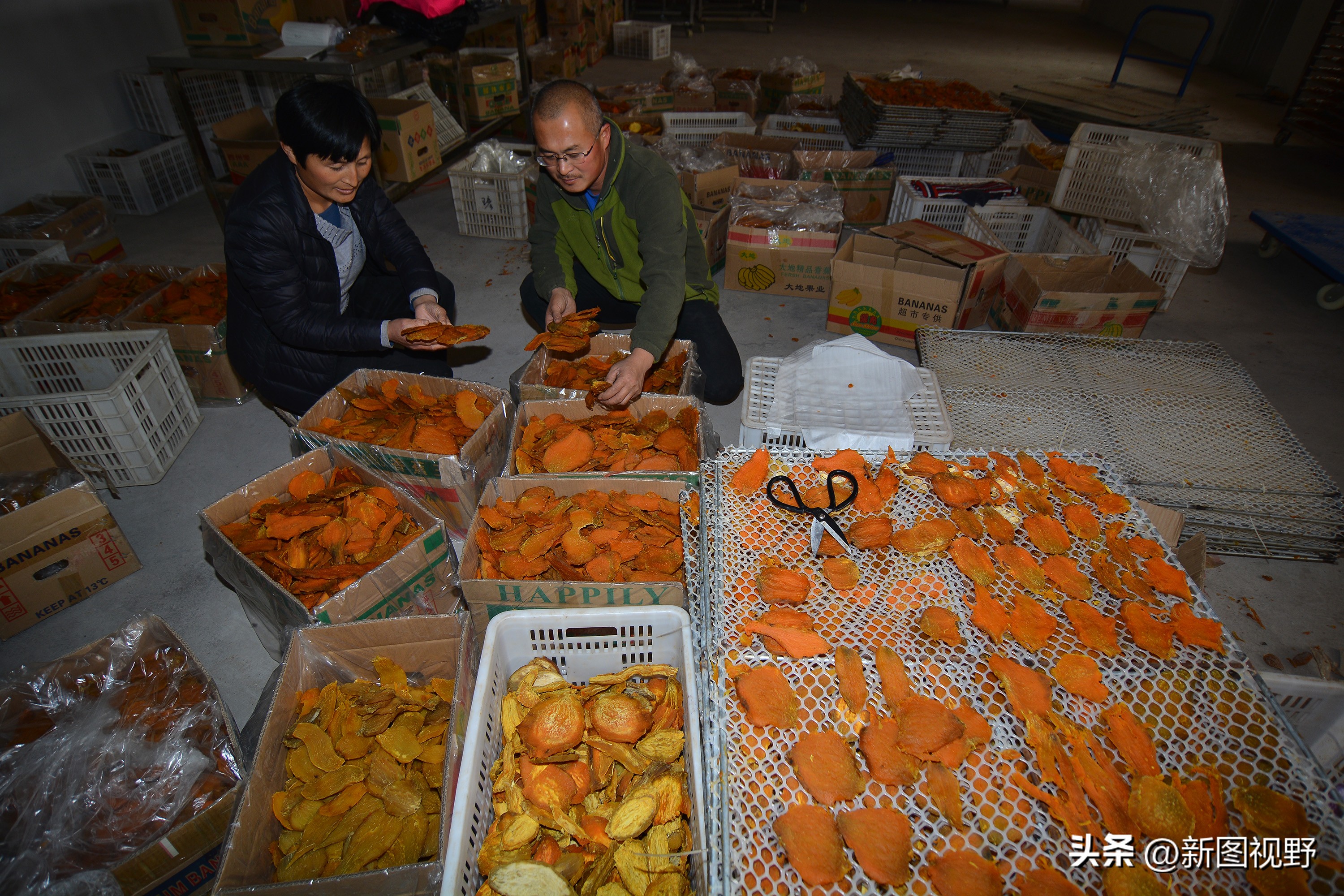 农村大姐靠什么赚钱,43岁农村大姐一天挣90元