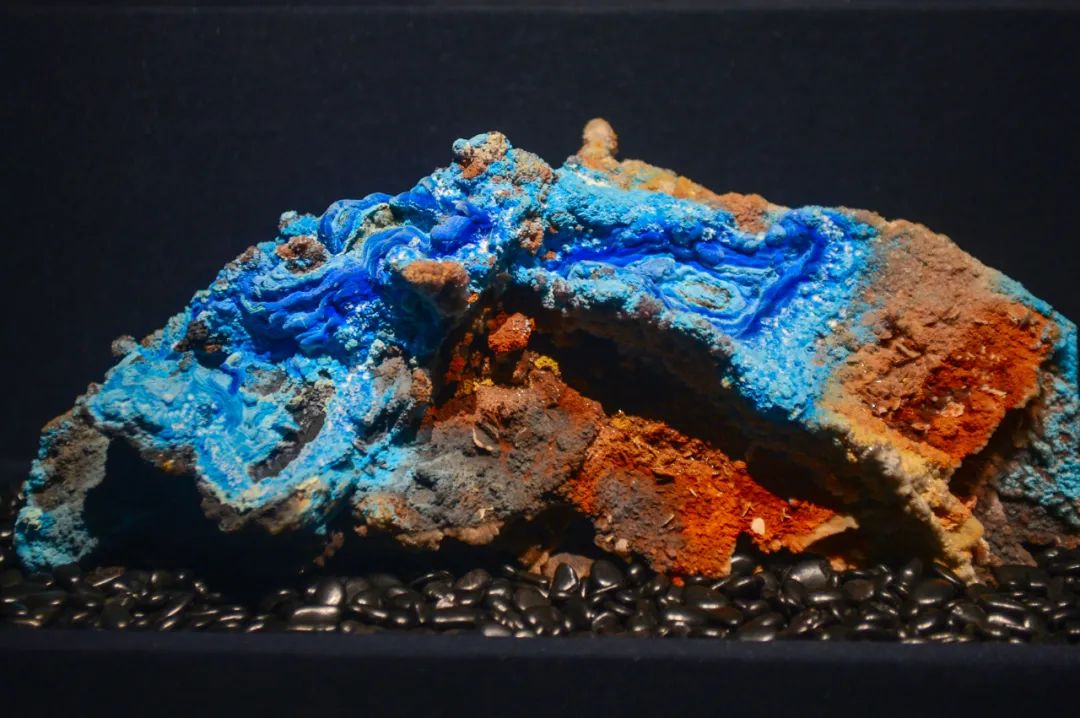 打卡山东博物馆和大明湖,山东博物馆打卡预约