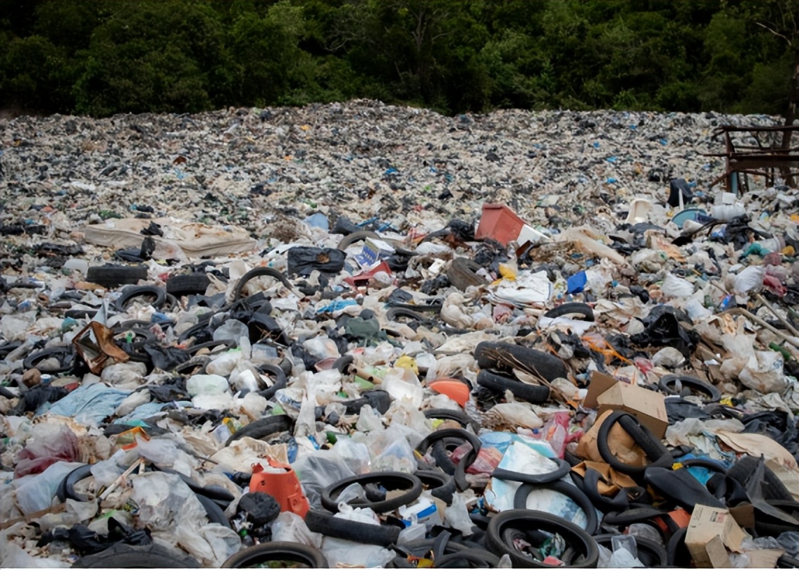 盲眼龙婆惊世预言,2024盲眼龙婆的三大预言