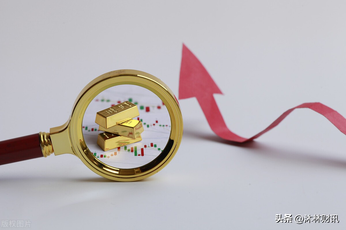 涉案业务风险排查情况及风险敞口,仓单风险政策措施