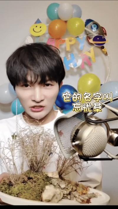 周深卡布叻船长海外反应,周深和卡布叻什么关系