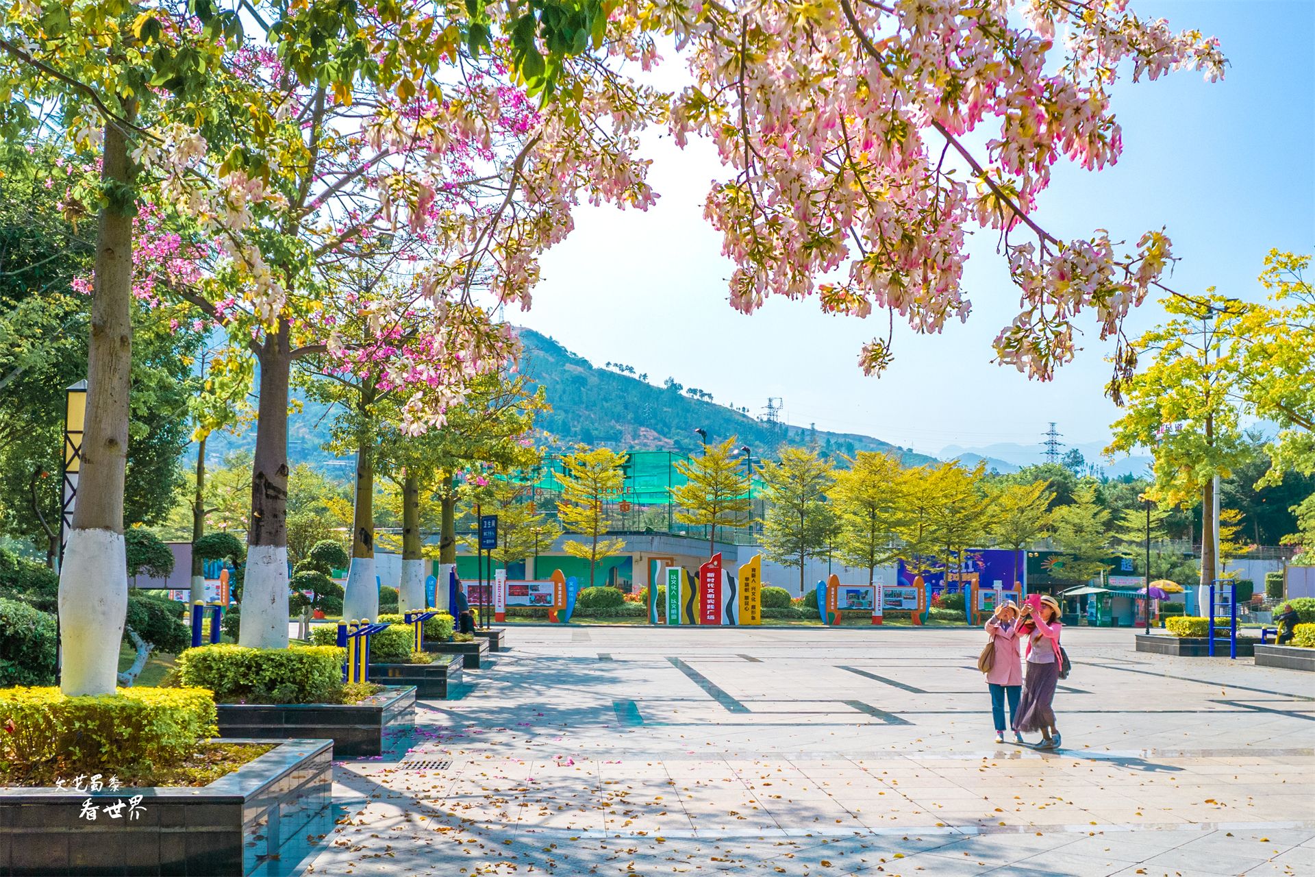 过冬圣地四川攀枝花,攀枝花哪个地方适合冬天居住