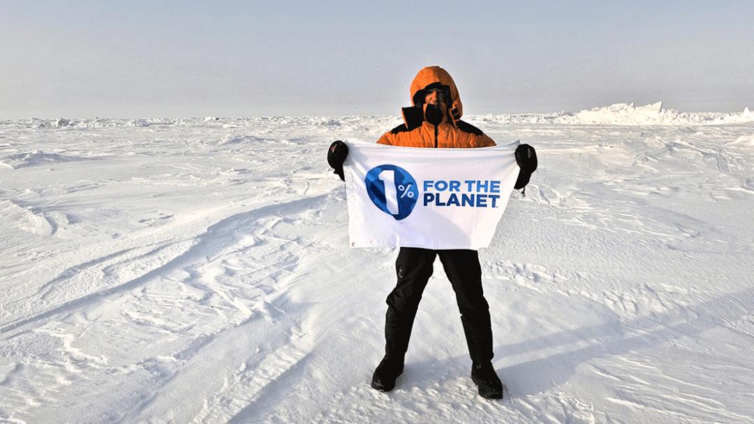 被卖狗贩的阿拉斯加,被卖的阿拉斯加